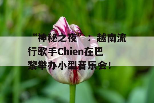 “神秘之夜”：越南流行歌手Chien在巴黎举办小型音乐会！