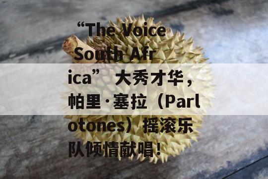 “The Voice South Africa” 大秀才华，帕里·塞拉（Parlotones）摇滚乐队倾情献唱！